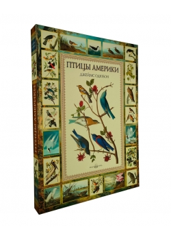 ����� �������