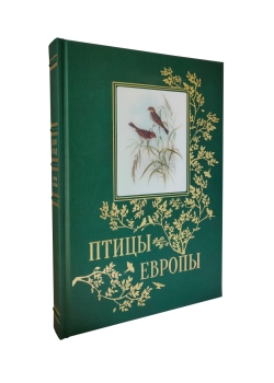 ����� ������