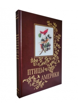 ����� �������