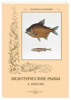 ������������ ����