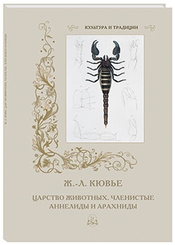 ������� ��������. ���������. �������� � ��������