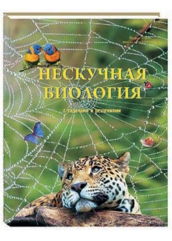 ��������� �������� � �������� � ���������