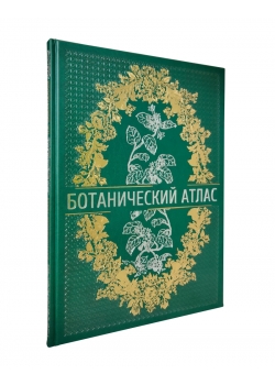 ������������ �����. �.�. �����������