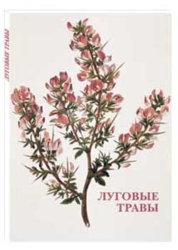 ������� �����