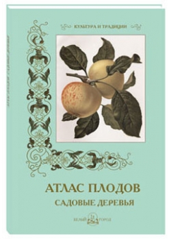 ����� ������. ������� � ������������: ������ �.�.