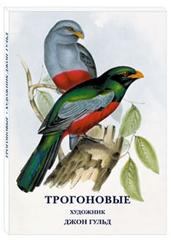 ����������. �������� ���� �����