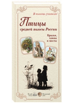 ����� ������� ������ ������. ������, ����� � ������